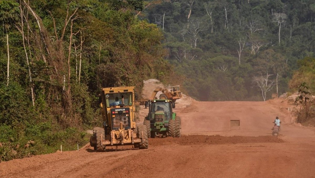 Amazon yağmur ormanları tükeniyor