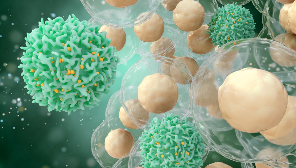 Omicron’a karşı çapraz bağışıklık umudu: T hücreleri yüzde 70-80 oranında koruma sağlıyor