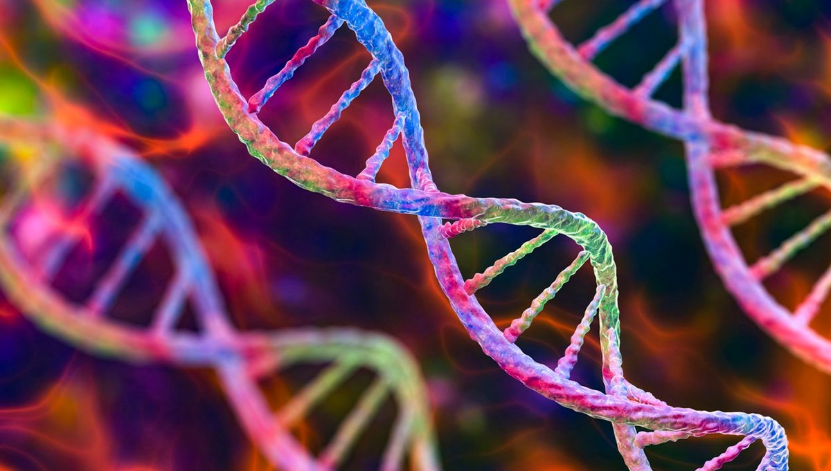 Bilim insanları ilk kez tam insan genomunu sıraladı